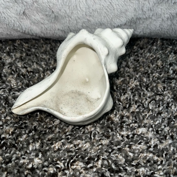 Ceramic Seashell - Picture 5 of 5
